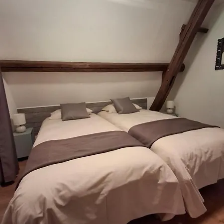 Le Du Manoir De - Charme Et Serenite - 6p Bellou